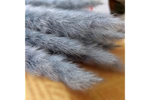 GEFIRE 30 Stück 44cm Trockenblumen, Pampasgras getrocknet, Trockenpflanzen, Schilfgras, Pampasgras, Stäbchen Pampasgras, Pampasgras Federn für Florale Wohnkultur, Boho Deko (Hellgrau)