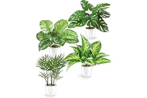 ‎PASCH PASCH® 4er Set Tropische Kunstpflanzen wie echt (25cm) in weißen Keramiktöpfen: u.a. Monstera künstlich & Areca Kunstpalme | Künstliche Pflanzen im Topf | Fake Plant | Kunstblumen im Topf