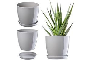 KADAX Maceta con plato, maceta redonda para interiores, elegante maceta de plástico, maceta ligera para flores y plantas para el hogar (16 cm de diámetro, color gris)
