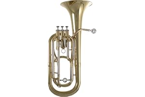 Roy Benson Bb-Bariton BH-301 (Hochpräzise 12,8 - 13,5 mm Bohrung, Ø 21 cm Messing Schallbecher, 3 Top Action Ventile, in einem leichtgewichtigen, transportfreundlichen Formetui)