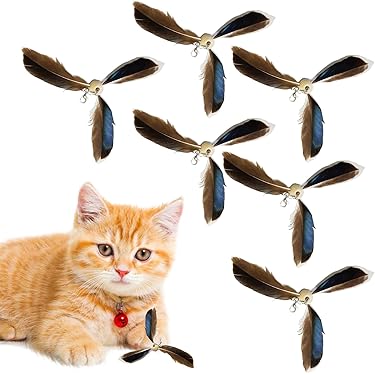 Kattenspeelgoed | Langhout's Dierenspeciaalzaak