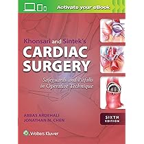 Buy Khonsari and Sintek's Cardiac Surgery: Safeguards and Pitfalls