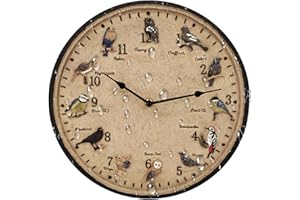 HEMORE Garden Clocks, 12inch Vintage Outdoor Hanging Clock Ornament, Creative Resin Birds Pointer Scale Wall Clocks, Outdoor Waterproof Wall Clock Decor for Patio Pool Yard Living Room