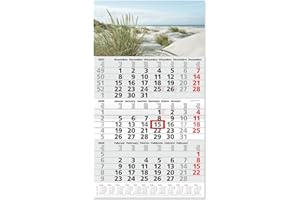 ‎TIMR Timr 3-Monatskalender 2026 Jahresübersicht - 53 cm - International mehrsprachig D/GB/F/I/E/NL - Wandkalender mit Schieber - Motiv Dünen I tr340