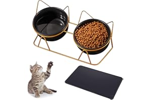 Lvefyti Katzennapf Erhöht Keramik, Fressnapf 2er Set mit Unterlage Katzen Napfset Porzellan mit Katzennapfmatte für Essen und Trinken Erhoehter Futternapf Katze Hundenapf Erhöht(Gold)