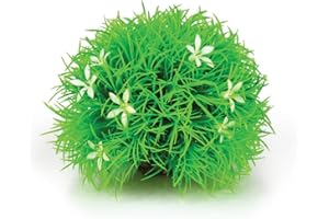 biOrb Bola topiaria con margaritas