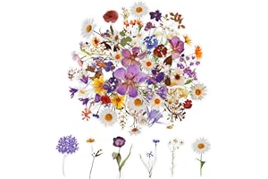 ABEILLO 120 Transparente Scrapbooking Aufkleber, PET Blumen Aufkleber Pflanzen Sticker, Flower Stickers, Blumenaufkleber für Scrapbook Fotoalbum Sammelalbum Laptops Handwerk (60 Stile)