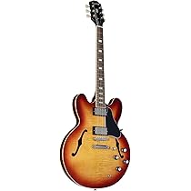 Epiphone Case for Epiphone Dot, Sheraton, for ES-335 Style Guitar