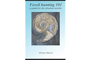 Fossil hunting 101: A guide for the absolute newbie