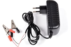 AFTERTECH 6V (7,3V) 2A CARICABATTERIA PER BATTERIE LIFEPO4 LITIO FERRO FOSFATO PILA CARICATORE CHARGER M7B1