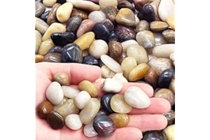 LONTOM 2.2LB Decorative Polished Pebbles for Plants, Natural Mixed Color Pebbles, Plant Rocks, Aquarium Gravel, Fish Tank Rocks, Garden Rocks, Vase Fillers, Outdoor Decorative Stones