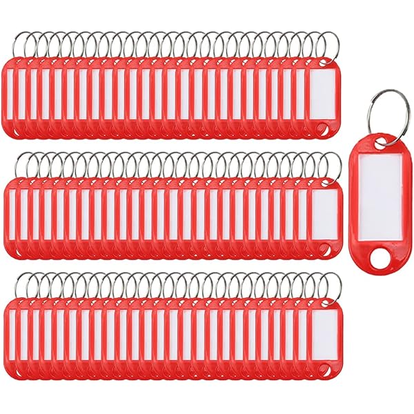 100 Pièces Capuchons De Clés Colorés + Étiquettes Et Anneaux - Kit D'Organisation Pour Clés, Personnalisable, PVC
