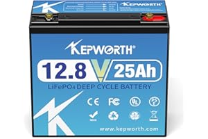 KEPWORTH LiFePO4 25Ah 12V Batterie, Lithium Akku mit BMS, Wiederaufladbar Deep Cycle,Perfekt für Backups, Hausalarm