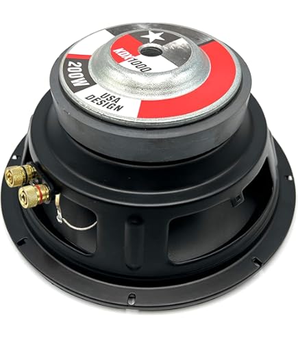 Subwoofer Activo Pyle 10