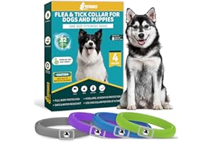YOTANGO Collare Antiparassitario per Cani, 4 Pezzi Naturale Collare Antipulci Cane, Collare Cane Antiparassitario, 32 Mesi di Protezione Antizecche per Tutti i Tipi di Canii, Grigio, Viola, Verde, Blu