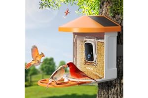 GNCC Mangeoire à Oiseaux Intelligente avec caméra 1080P HD Caméra de mangeoire à Oiseaux sans Fil AI extérieure pour identifier Les espèces d'oiseaux