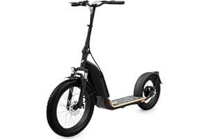 Elektro Scooter mit Straßenzulassung ABE E-Scooter Elektroroller eKFV Zulassung Faltbar Roller EScooter - schwarz