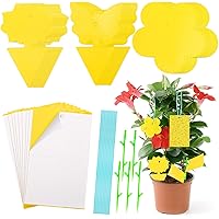 HAKACC Gelbsticker, 40 Stück Gelbfalle Doppelseitig Gelbtafeln gegen Trauermücken Insekten Obstfliegen