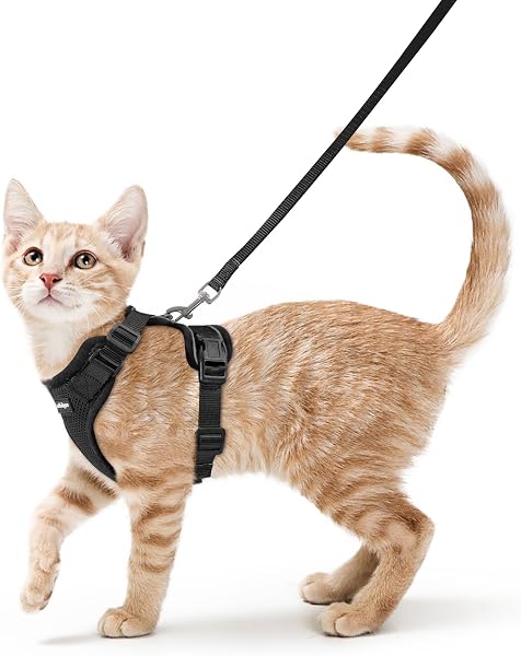 rabbitgoo Cat Harness and Lead Set, Adjustable Escape Proof Cat Lead for Walking, Reflective Kitten Harness Set, Soft and Comfortable for Small Cats, Black, XS - 1