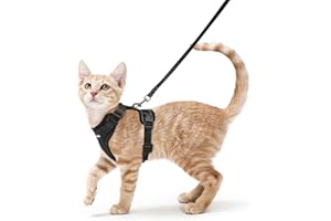 rabbitgoo Katzengeschirr mit Leine Softgeschirr für Katze Brustgeschirr Cat Harness Katzengarnitur Ausbruchsicher Verstellbar Katzenweste Schwarz S