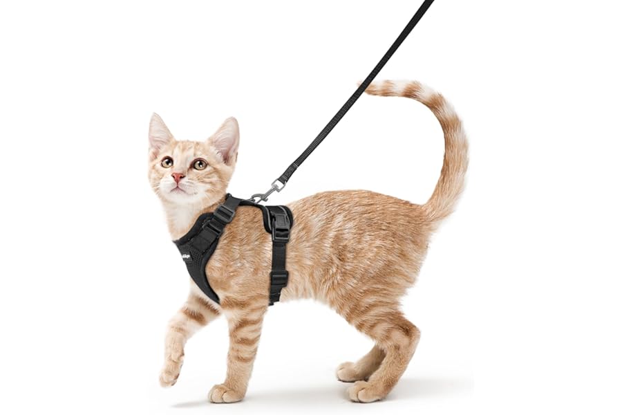 rabbitgoo Cat Harness and Lead Set, Adjustable Escape Proof Cat Lead for Walking, Reflective Kitten Harness Set, Soft and Comfortable for Small Cats, Black, XS