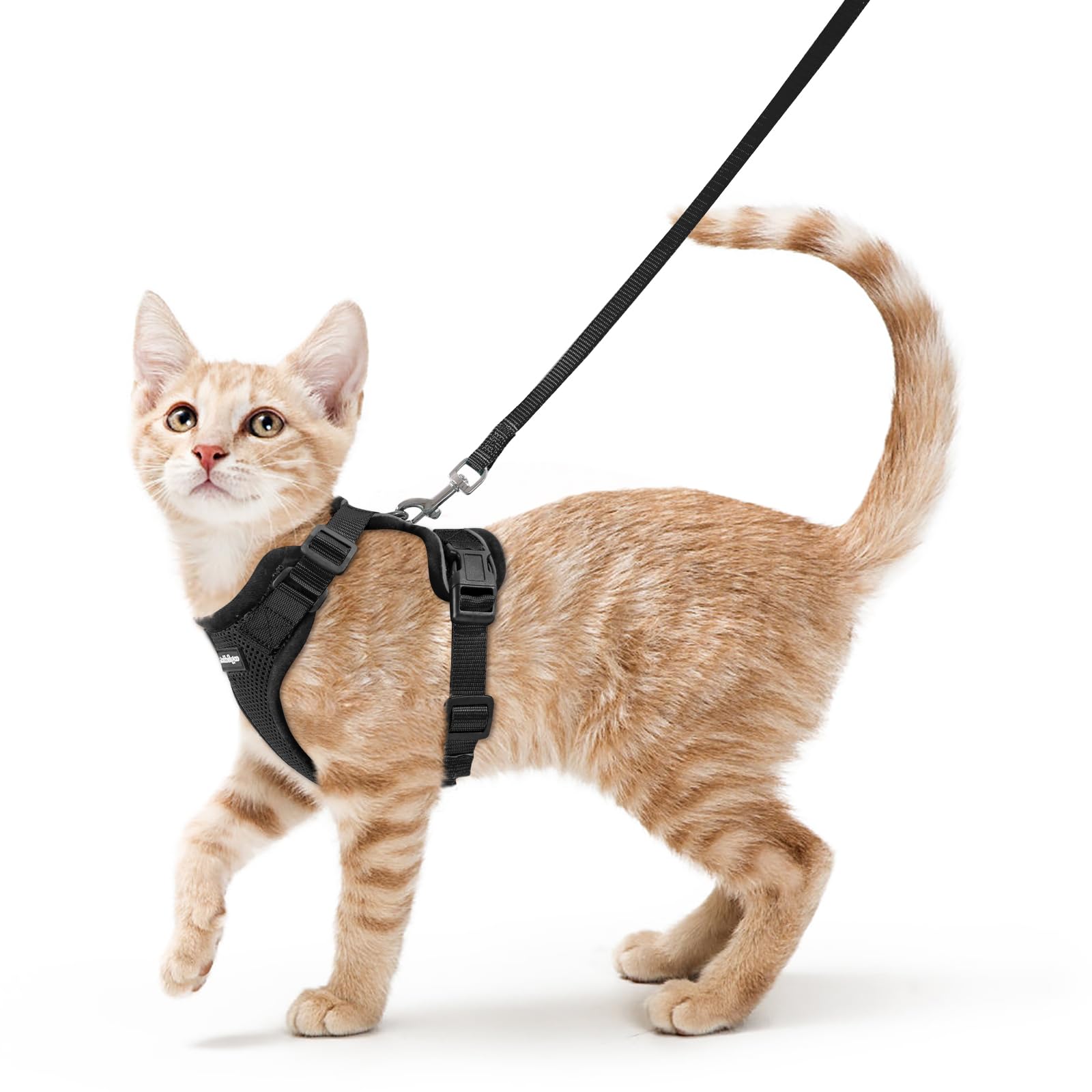 rabbitgoo Cat Harness and Lead Set, Adjustable Escape Proof Cat Lead for Walking, Reflective Kitten Harness Set, Soft and Comfortable for Small Cats, Black, XS - 1