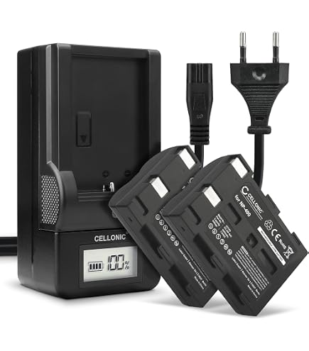 SK Akku-Ladegerät Für Konica Minolta NP-400 – Kompatibel Mit Vielen Kameras