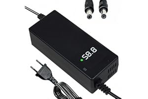 YANGZIDIANYUAN Chargeur 58.8V 2A Compatible avec Batteries Lithium 48V et 51.8V, idéal pour appareils électriques Mobiles personnels Équipé de Deux interfaces DC5.5×2.5mm et DC5.5×2.1mm