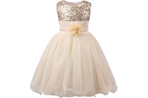 JerrisApparel Petite Fille Paillette Fête Fleur Robe de Cérémonie Bal Banquet Tulle