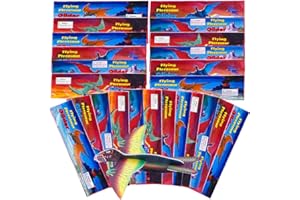 HONGECB Gleitflugzeuge Set, Styroporflieger Styropor, Gleiter Flieger, Styroporflieger Segelflugzeuge Styroporgleiter für Kinder, Flieger Flugzeug für Kindergeburtstag Gastgeschenke (Dinosaurier - 24 pcs)