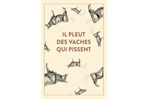 Il pleut des vaches qui pissent: 300 accidents d'expressions : une seule victime, la langue française...