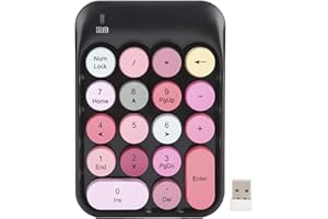 Yunseity Tastierino Numerico Meccanico, Tastiera Numerica Colorata Rotonda Carina Senza Fili, Tastierino Numerico PBT a 18 Tasti Colore Misto, per PC, Laptop, Notebook, Ecc.(Nero)