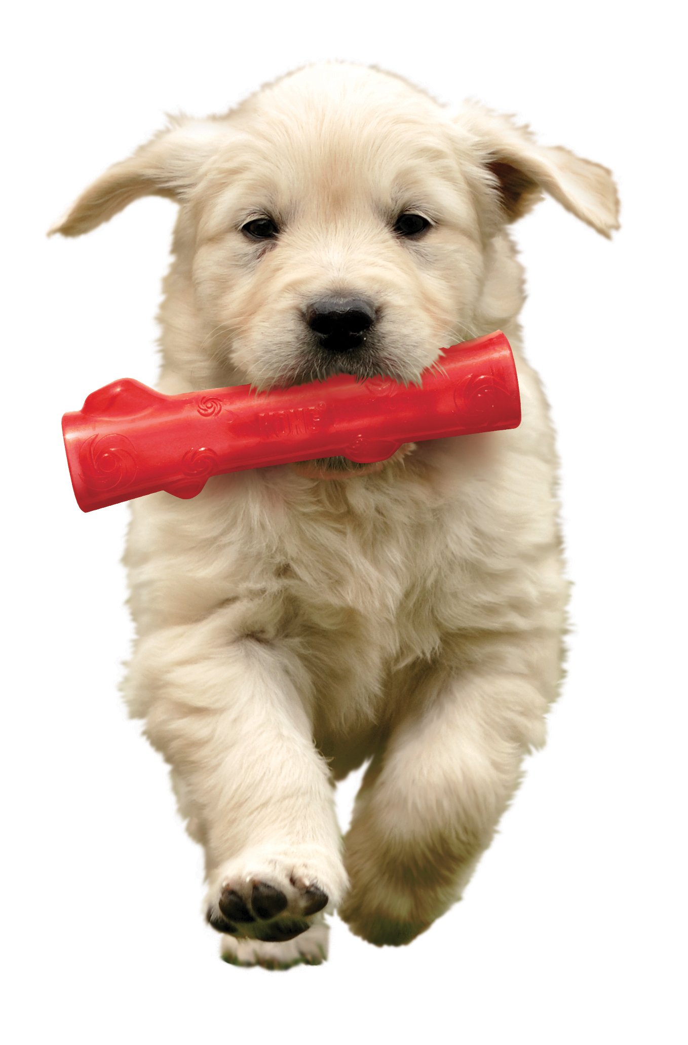 kong squeezz stick large