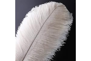 VoilaLove 20 pcs Plume d'Autruche Naturel Artisanat 10-12 Pouce (25-30 cm) Plume pour Centres de Mariage Décoration de La Maison (25-30cm,Blanc)