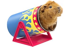 HAYPIGS Guinea Pig Toys and Accessories - Circus themed CAVY CANNONBALL Tilting Tunnel - Guinea Pig Tunnel - Ferret Toys - Rat Accessories - Small Animal Toys