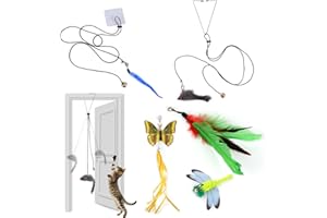 XIXKOLYU® Juego de 5 piezas de juguete para gatos de interior, gatos y ratones, juguetes interactivos para eliminar el aburrimiento