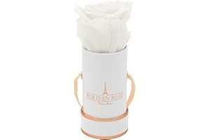 PARIS EN ROSE Rosenbox | mit einer weißen Infinity Rose Größe XL | ewige Rose | runde Box Weiß-Rosegold | 3 Jahre haltbar | Grußkarte
