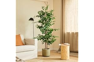 BLAINE | Ficus 150cm | Plantas Artificiales Decorativas | Planta Artificial Grande | Plantas Artificiales para Interior/Exterior | Planta Artificial Realista Decorativa para Casa