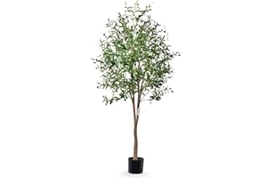 Leflos 180 cm Olivo artificiale, Alberi artificiali solo per uso interno, con tronco vivo, rami regolabili e olive turgide, 1 pezzo