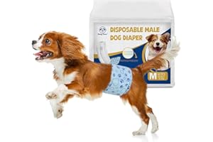 Flying Paws Pannolini per Cani, M-26 Pezzi Assorbenti con Indicatore di Umido, Protezione Antifughe, Ideale per Incontinenza, Viaggi e Addestramento