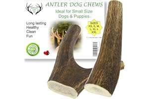ARTISAN GIFT CO Naturally Shed 100% Natural Premium Deer Antler Chew for Dogs - minimum pack weight 100g (S - 2 Units)