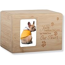 BESTonZON Gedenk Bilderrahmen Mit Urne - Für Haustiere Und Menschen Erinnerungsstück