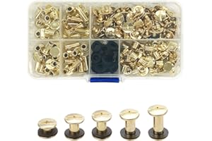 JJWNMLL Set di 80 Viti Chicago 5/8/10/12/15 mm Viti per Rilegatura Chicago kit di viti per rilegatura a forma di chiodo dorato,bottoni Chicago,viti a testa incrociata per cintura in pelle,fai da te