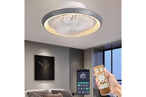 Qiaomao Plafonnier Ventilateur Silencieux 360° Rotation Gris 49cm avec Télécommande/APP, Reversible Dimmable Timer Ventilateur de Plafond avec Lustre, Luminaire Ventilateur Plafonnier 6 Vitesses 72w