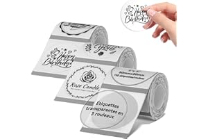 NIIMBOT 3 Rouleaus Etiquette Pour B1 B21 B3S Imprimante, Rond Etiquette Conserve 50x50mm(2"x2"),150 Pcs/Rouleau,Tranparente