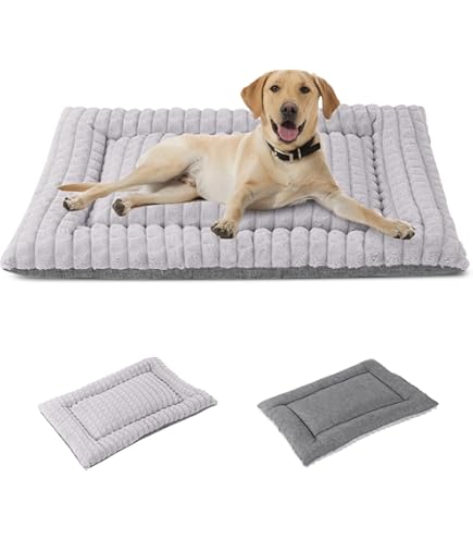 Cama De Agua Para Perros Bluelander Cama Para Perro Pequeu00f1o Y