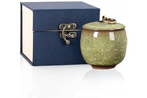 LYLQMY Small Urns for Human Ashes,Ceramic Memorial Mini Ashes Urns,Hold 5.5 Cubic Inches of Ashes,For Human Or Pet Ashes,Beautiful Mini Sharing Funeral Urns with Exquisite Box (Green)