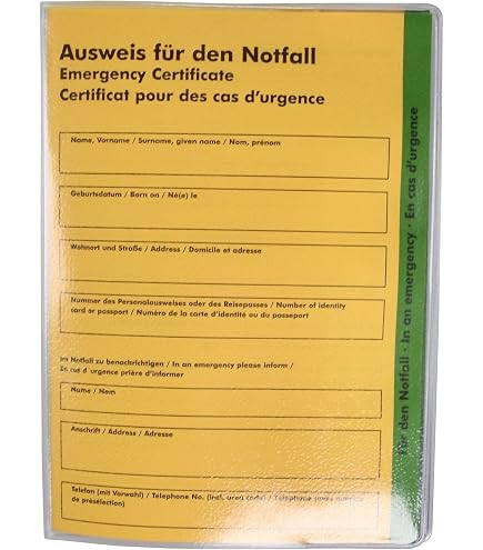 Impfpasshülle Personalisierbar – Schutzhülle Für Impfpass 9,3x13 Cm Mit City-Flugzeug-Motiv, Individuell Beschriftbar