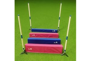 Callieway Agility Saut en Longueur Soft, Agility Long-Jump – Noyau en Mousse, Couvert avec Une bâche, 4 Jalons et Sac de Transport Inclus, Conforme CNEAC + FCI (Bleu-Fuchsia)