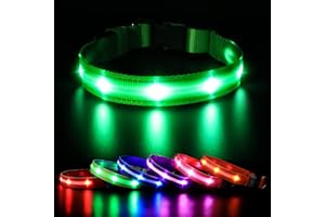 MASBRILL LED Collier Lumineux pour Chiens, Lumière Collier Chien Rechargeable et Etanche, Collier de Réglable avec 3 Modes d'éclairage pour Petits/Moyens/Grands Chiens(Vert, M)